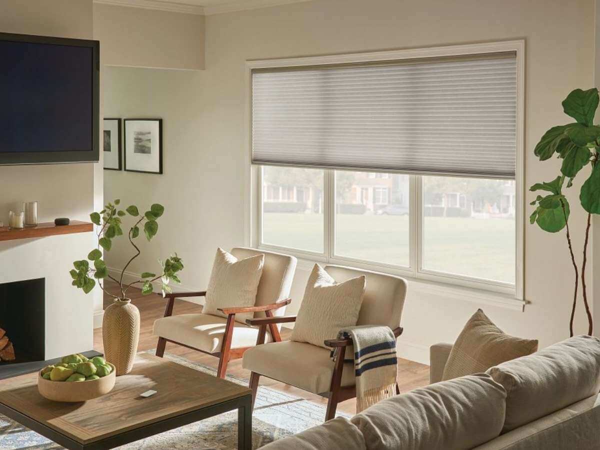 Graber Cellular Shades in the living room